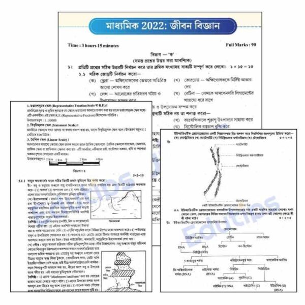 Operation Madhyamiik PYQ Answer Solution PDF (All Subjects): WBBSE মাধ্যমিক 2022-'23-'24 প্রশ্ন উত্তর! - Image 4